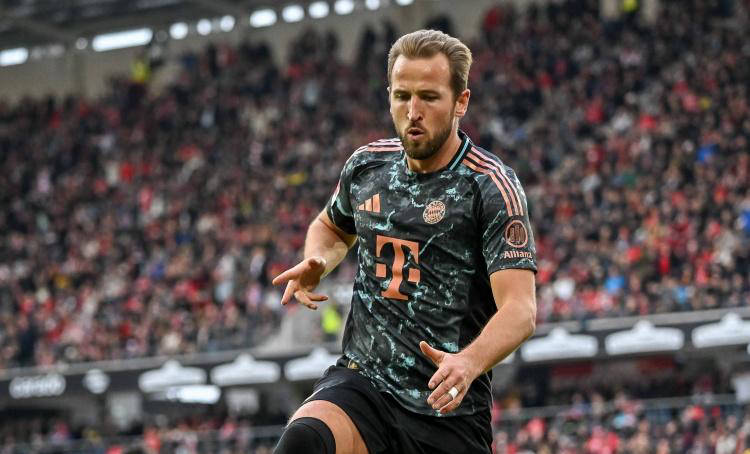 阵容实力跻 阵容实力跻