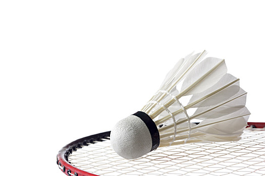 秦彻的性价 秦彻的性价